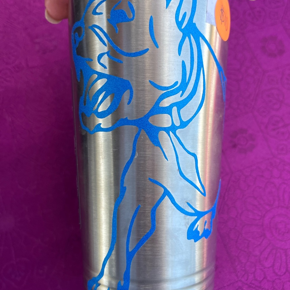Insulated Cup